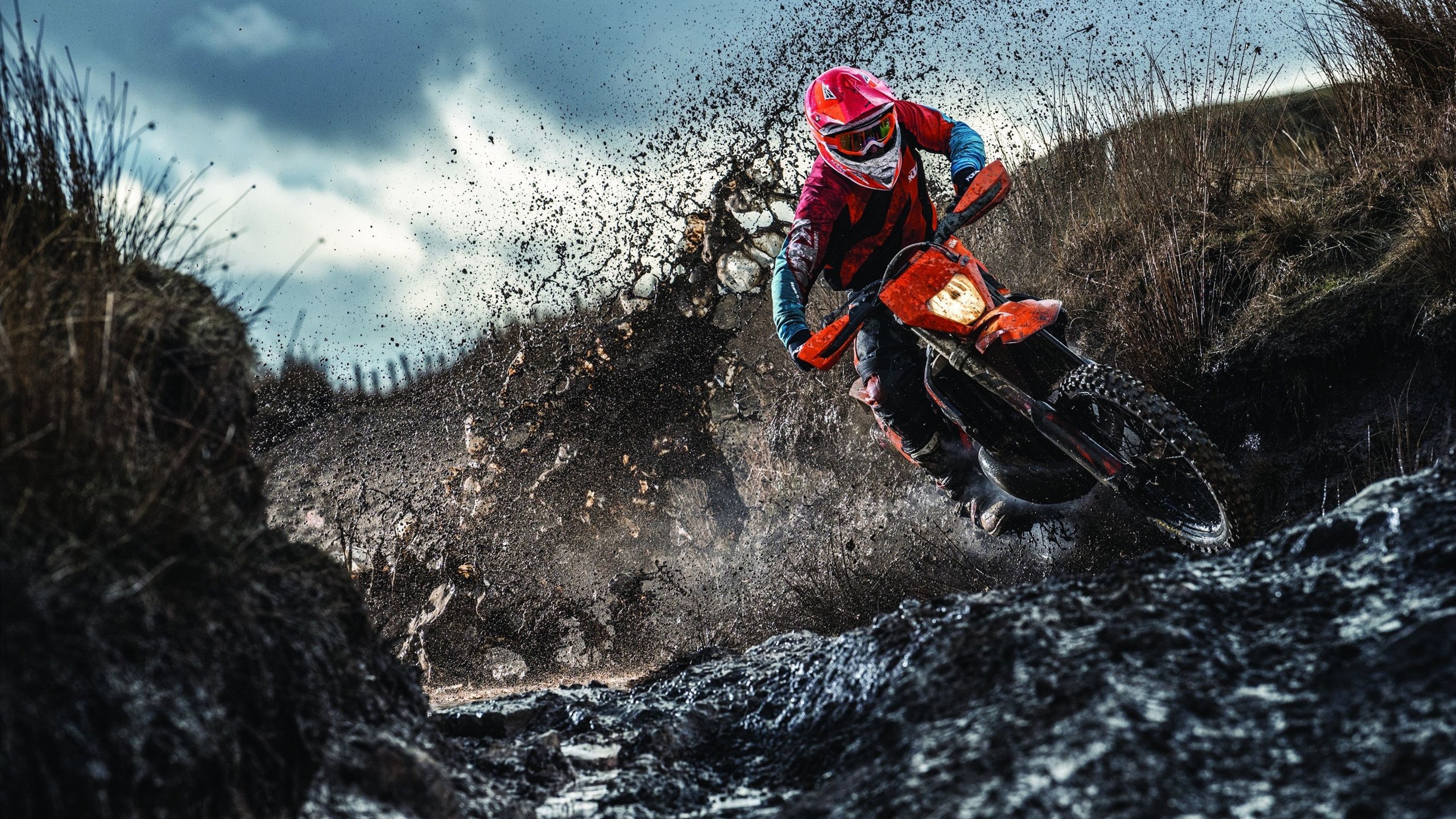 《电竟行业新兴职业：战队管理与赛事策划》，电竞战队选拔